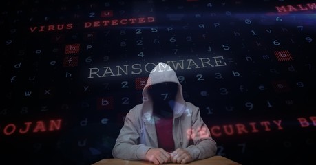 Wall Mural - Digital composite image of hacker with screen
