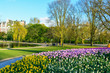 Vondelpark in Amsterdam, Netherlands