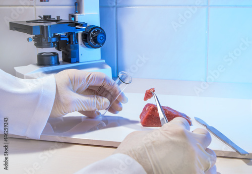 Fotografie, Obraz frisches Fleisch wird in einem Labor untersucht