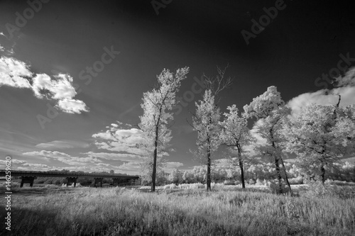 Landscape in infrared light Poster Mural XXL