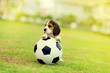 Cute young Beagle playing football