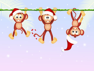 Wall Mural - monkeys celebrate Christmas