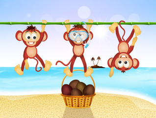 Canvas Print - funny monkeys on the beach