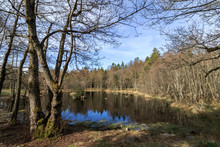 Taarntjernet, A Small Lake In Jomfruland National Park, Kragero, Norway