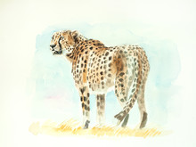 Cheetah Watercolor Painting