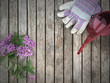 Lilacs with Gardening Gloves and Watering Can