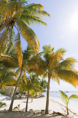 Wall Mural - Caribbean Island paradise.