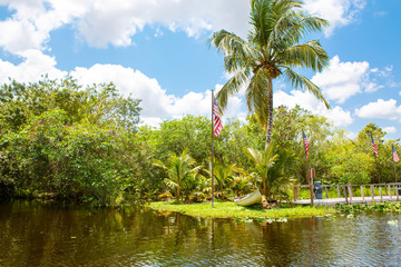 Wall Mural - Florida wetland, Airboat ride at Everglades National Park in USA.