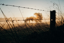 Barbed Wire Fence Dividing Land. Beautiful Dawn Light.