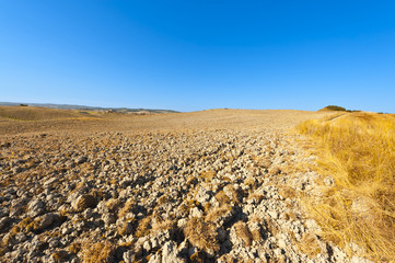 Canvas Print - Plowed land in Italy