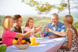 © luckybusiness - group of people celebrate on picnic.
