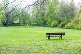 Fototapeta Konie - Cool Temperature Park Outdoors Overcast Weather Cold Cloudy Day Green Grass
