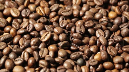 Sticker - Coffee Beans on Rotation Plate