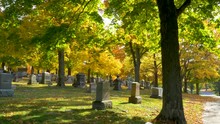 Autumn Colors Cemetery 2