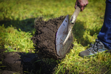 Digging the garden with a shovel in the sunny spring day