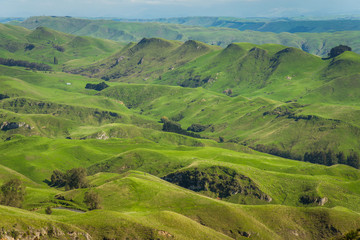 The scenic landscape view of Heretaunga plains view from the summit of Te Mata Peak, Hawke's bay region, New Zealand.