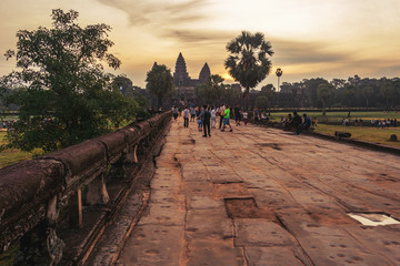 Wall Mural - Road to Angkor Wat temple.