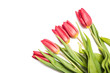 Bouquet of fresh tulips flowers isolated on white