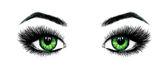 Beautiful open female green eyes with long eyelashes is isolated on a white background. Makeup template illustration. Color sketch felt-tip pens. Handwork. Fast schematic drawing