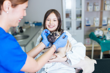 Beautiful young girl dressed as vet with her French bulldog at veterinary. Vet taking a dog's swab. Selective focus on dog. 