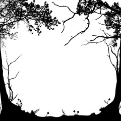 Wall Mural - forest frame