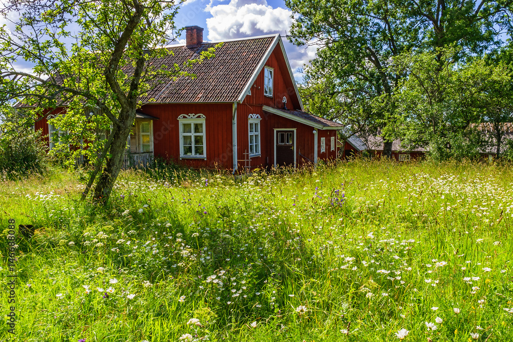 Overgrown garden at a red cottage - obrazy, fototapety, plakaty 
