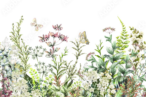 bezszwowa-krawedz-granica-z-ziolami-i-dzikich-kwiatow-lisci-ilustracja-b