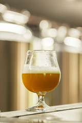 Poster - Glass of wheat beer at a brewery