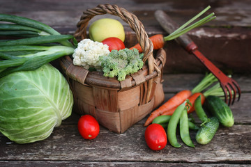 vegetables in basket harvest