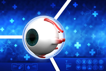 Poster - 3d rendering Human eye structure