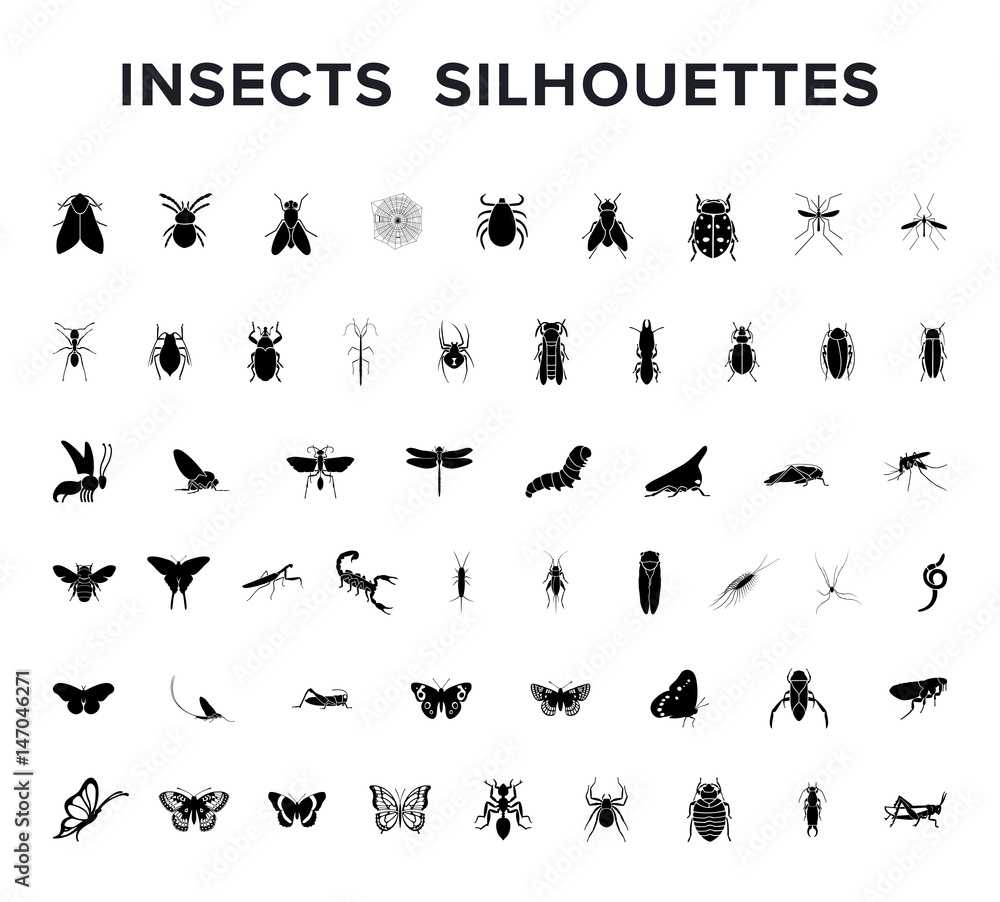 Vector set of insect silouettes isolated on white - obrazy, fototapety, plakaty 