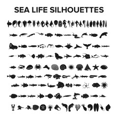 Sea life collection - vector illustration