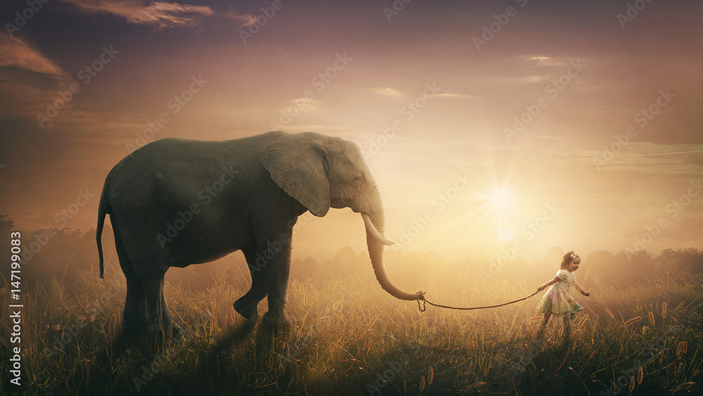 Słoń prowadzony przez dziecko - obrazy, fototapety, plakaty 