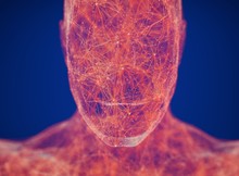 Neural Connections Concept. Human Body Neurology, Nervous System. 3D Illustration