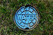 Rusting water valve cover plate in grass painted blue.
