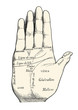retro vector design element: vintage palm reading / chiromancy chart illustration, fortune lines displayed on a human hand
