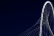 © Huw - Margaret Hunt-Hill Bridge in Dallas, Texas