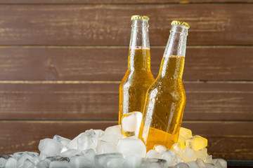 Wall Mural - Bottles of cold and fresh beer with ice