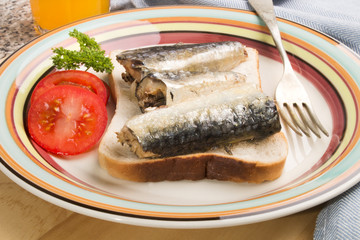 Wall Mural - sardines in oil on a slice of toast bread