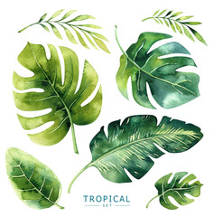  Hand drawn watercolor tropical plants set. Exotic palm leaves, jungle tree, brazil tropic borany elements. Perfect for fabric design. Aloha collection.