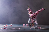 pink cherry blossom twigs in vase on gray background with copy space