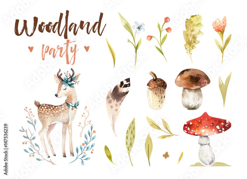 ilustracja-dziecieca-motywy-lesne-i-jelonek-grzyby-rosliny