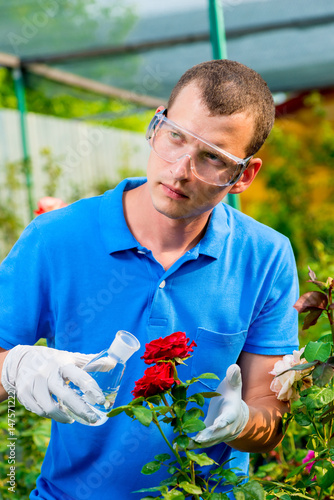 Fotografía Biologist examines flowers, processes with a substance from a test tube