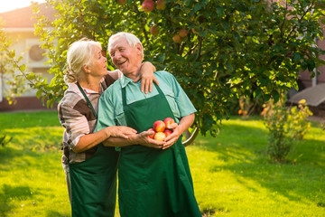 Couple of seniors with apples. Man in apron smiling. Our boundless happiness.