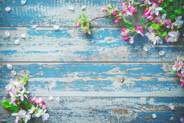 Spring blooming branches on blue wooden background.