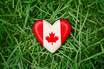 Macro closeup shot of wooden small heart with red white canadian flag maple leaf lying in grass on green forest nature background outside, Canada day celebration