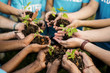 Group of environmental conservation people hands planting in aerial view