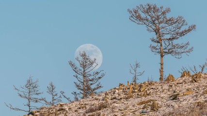 Wall Mural - Night Time lapse Large full bright moon rises from above hill into sky.