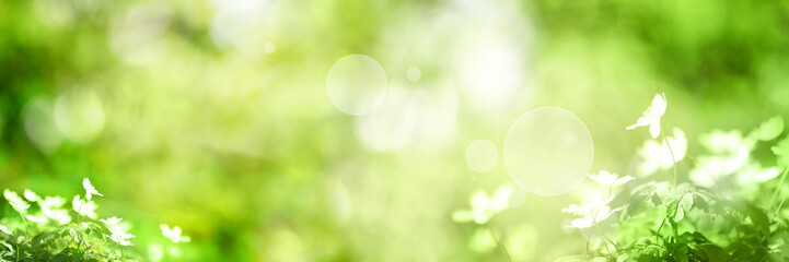 Wall Mural - Green background with small flowers