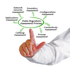 Poster - Data Migration Assessment Process